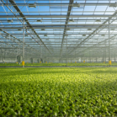 DQ_LoQueHAcemos_Img02