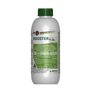 Booster Root